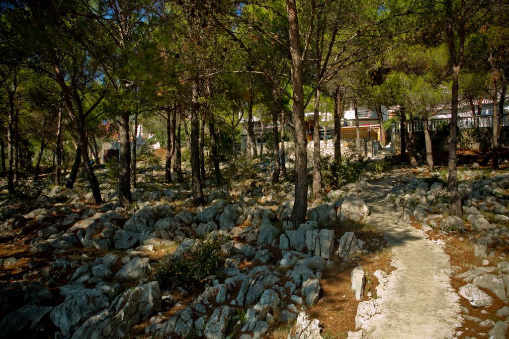 Apartments Vrgada Drage Εξωτερικό φωτογραφία