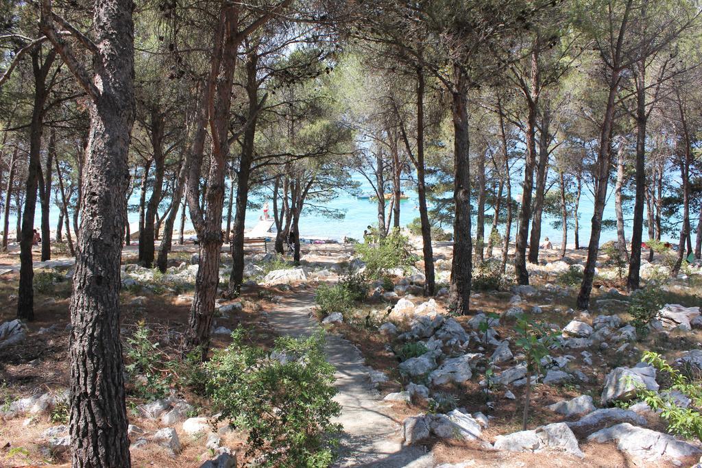 Apartments Vrgada Drage Δωμάτιο φωτογραφία